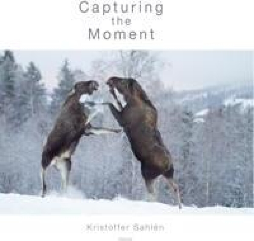 Capturing the Moment