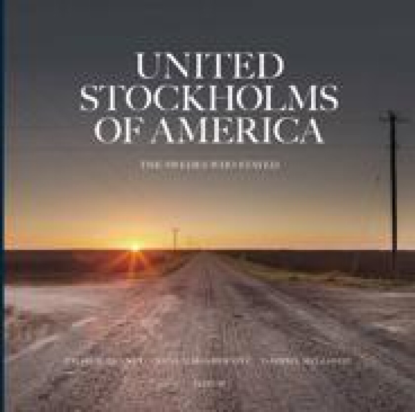 United Stockholms of America : The Swedes who stayed