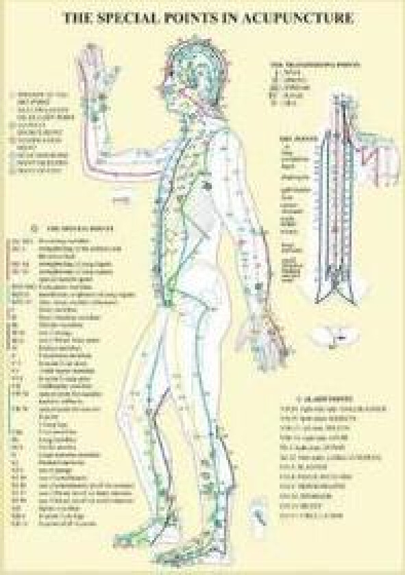 Special Points in Acupunture -- A4
