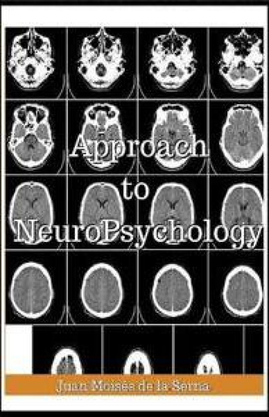 Approach To Neuropsychology
