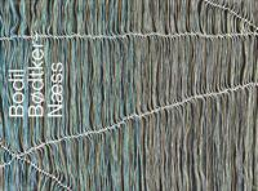 Bodil Bødtker-Næss