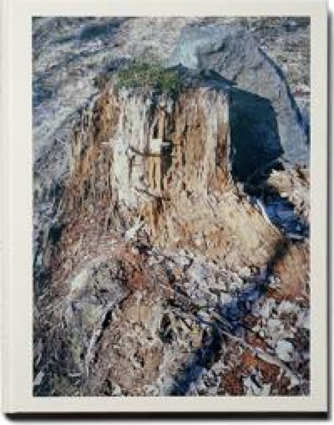 Alexander Arnild Peitersen - From Now On