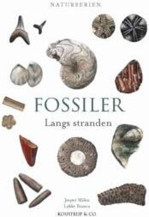 FOSSILER