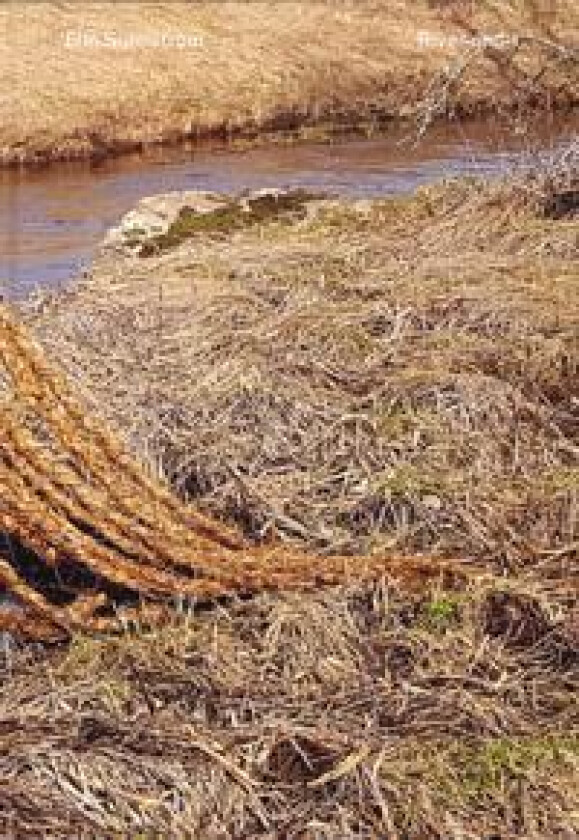 River-and-I: A multispecies story of loss and love on the brink