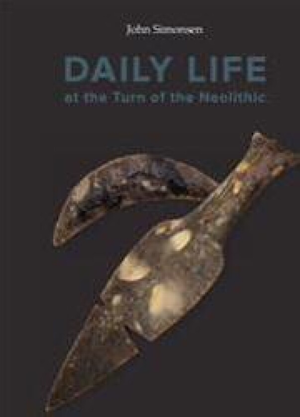 Daily Life at the Turn of the Neolithic