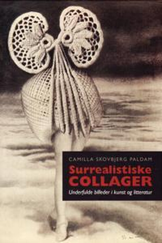 Surrealistiske Collager: Underfulde Billeder I Kunst Og Litteratur