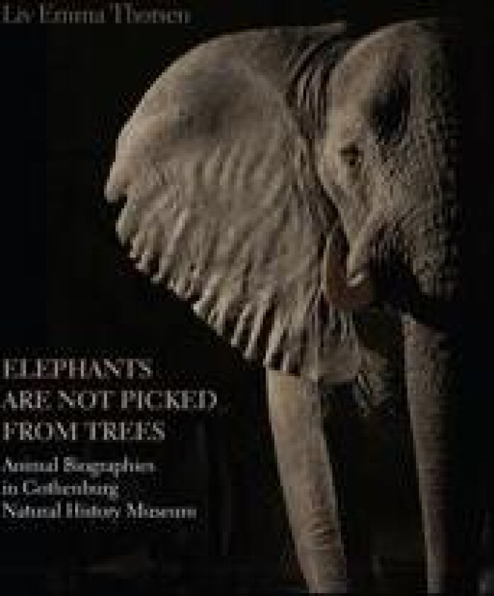 Elephants Are Not Picked from Trees
