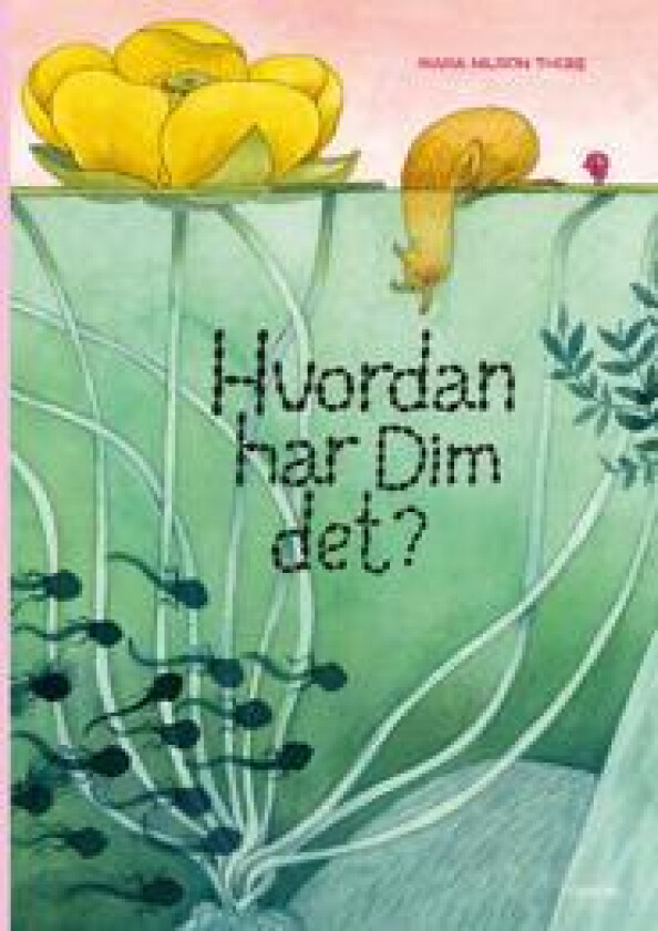 Hvordan har Dim det?