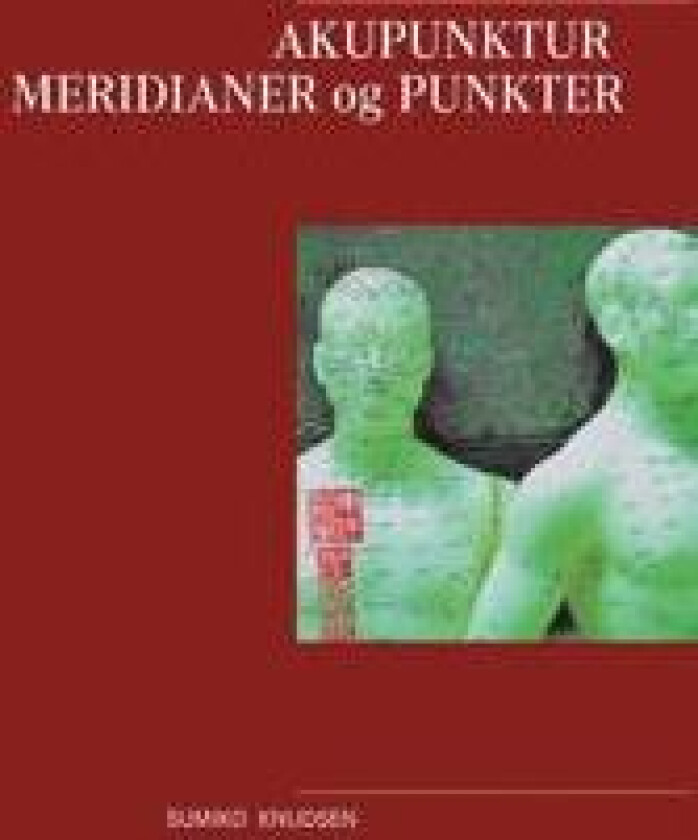 Akupunktur Meridianer og Punkter