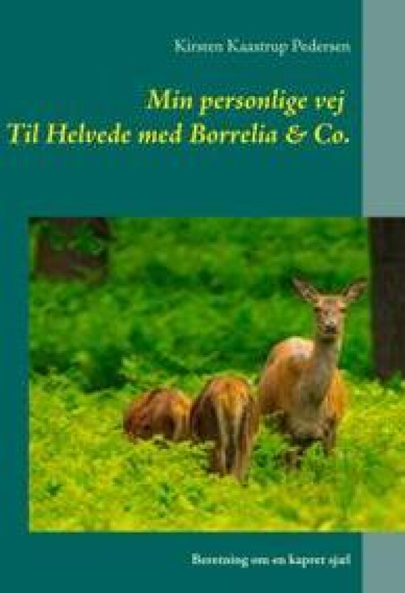 Min personlige vej Til Helvede med Borrelia & Co.