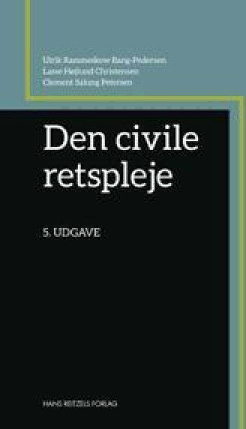 Den civile retspleje