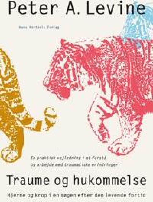 Traume og hukommelse