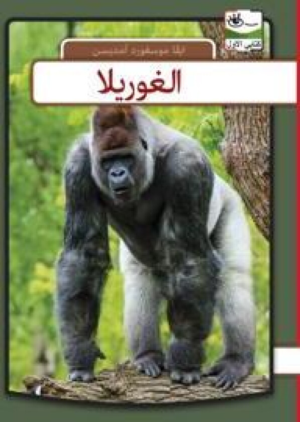 Gorilla - arabisk