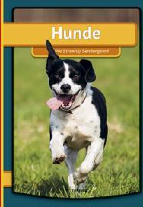 Hunde