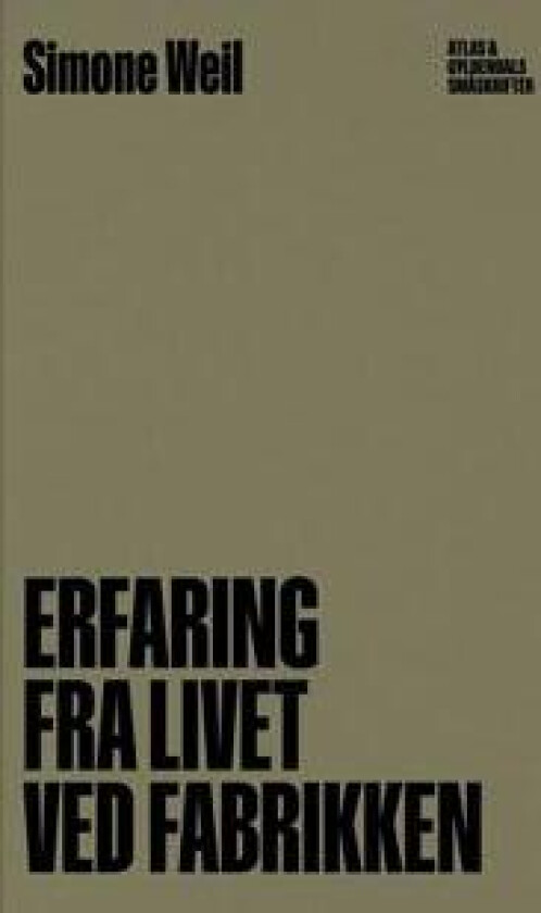 Erfaring fra livet ved fabrikken