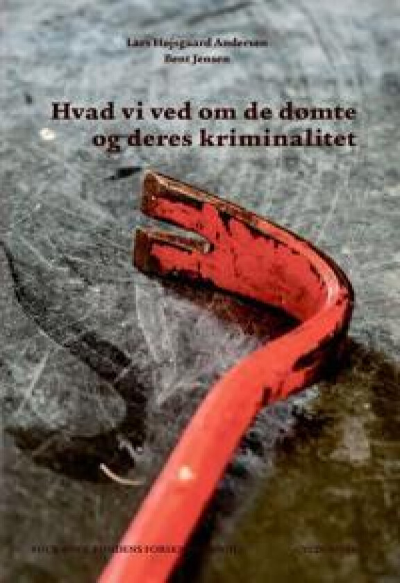 Hvad vi ved om de dømte og deres kriminalitet