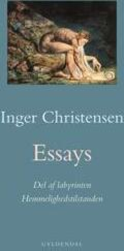 Essays. Hemmelighedstilstanden / Del af labyrinten