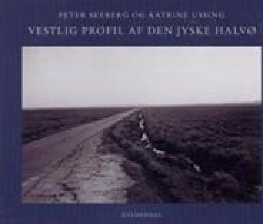 Vestlig profil af den jyske halvø