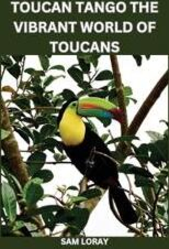Toucan Tango: The Vibrant World of Toucans
