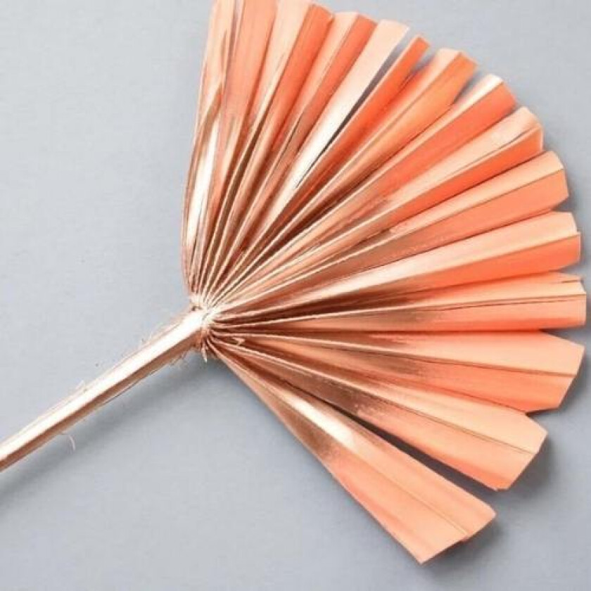 Tørket Palme vifte, Fersken og rosegull