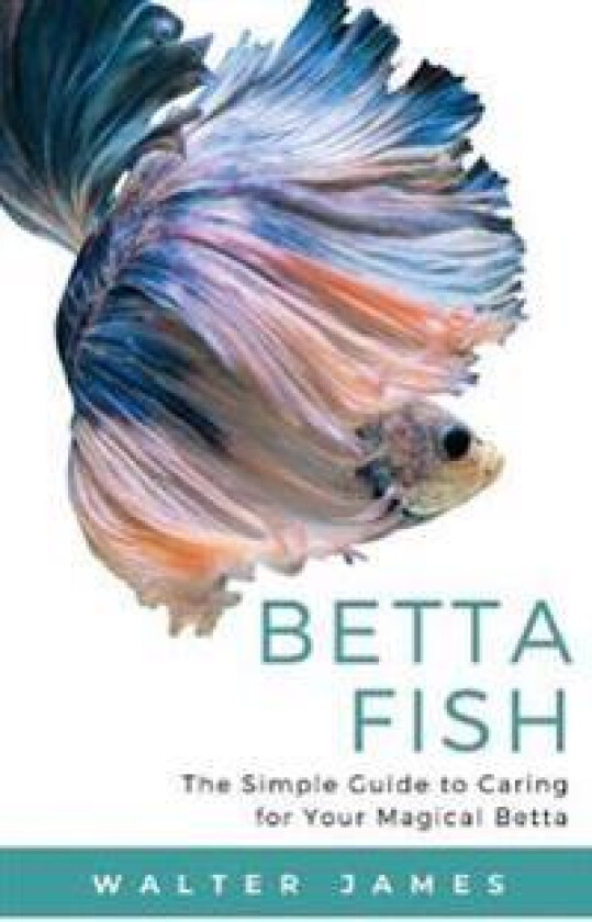Betta Fish