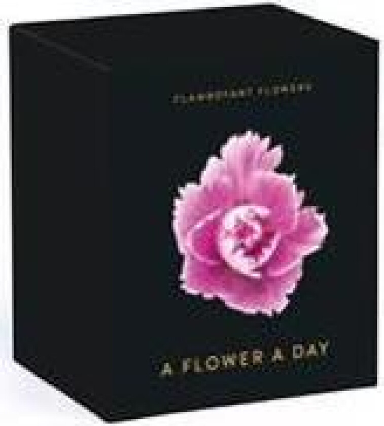 Flamboyant Flowers Perpetual Calendar