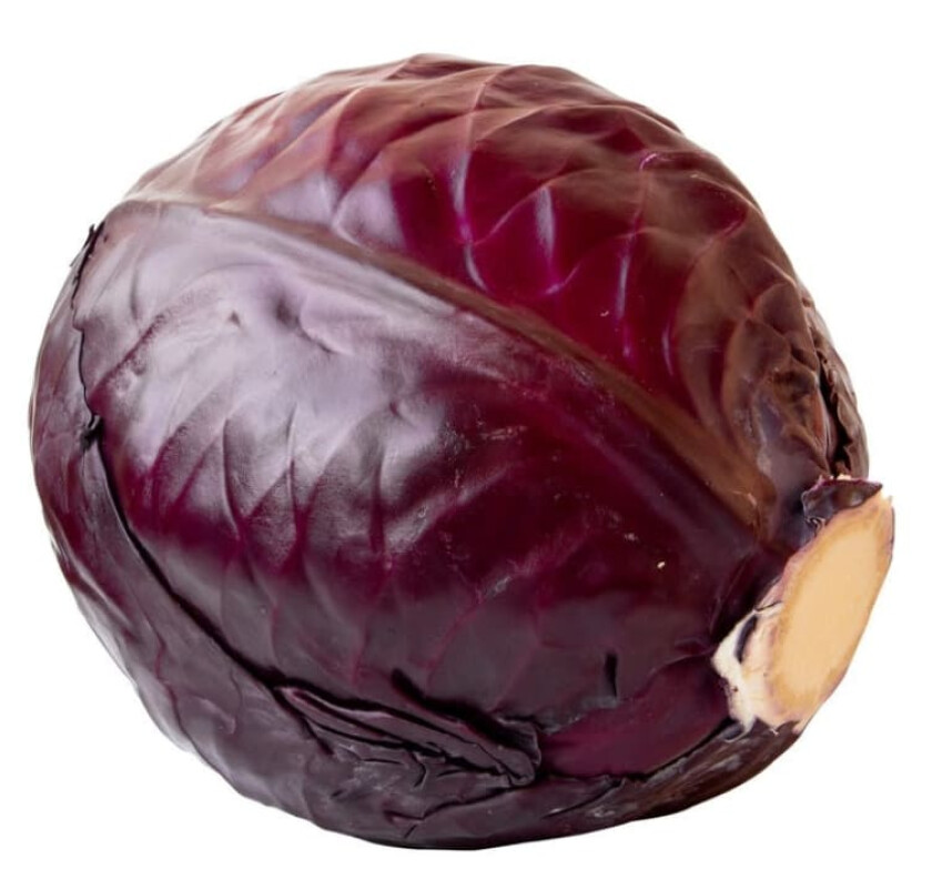 Rødkål Kg