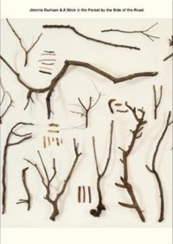 Jimmie Durham & A Stick in the Forest by the Side of the Road