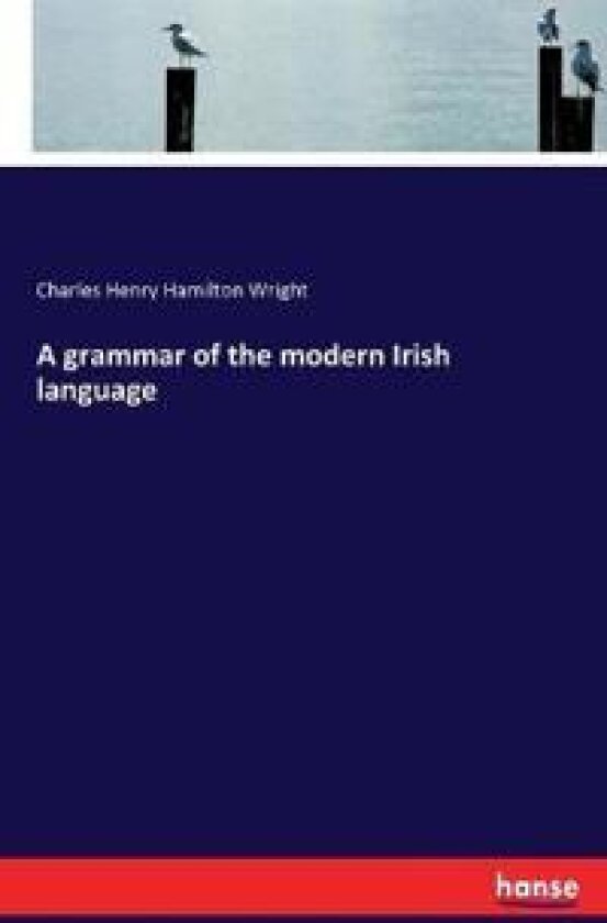 A Grammar of the Modern Irish Language