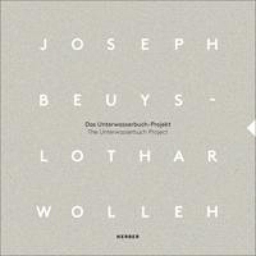 Joseph Beuys and Lothar Wolleh