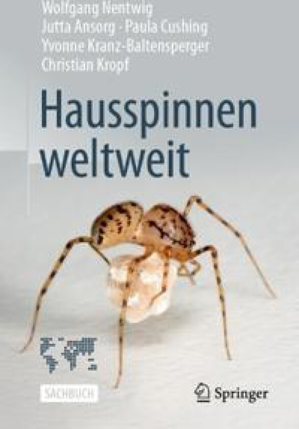 Hausspinnen weltweit