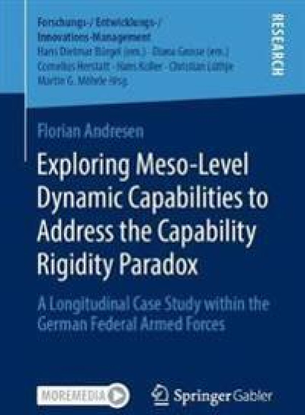 Exploring Meso-Level Dynamic Capabilities to Address the Capability Rigidity Paradox