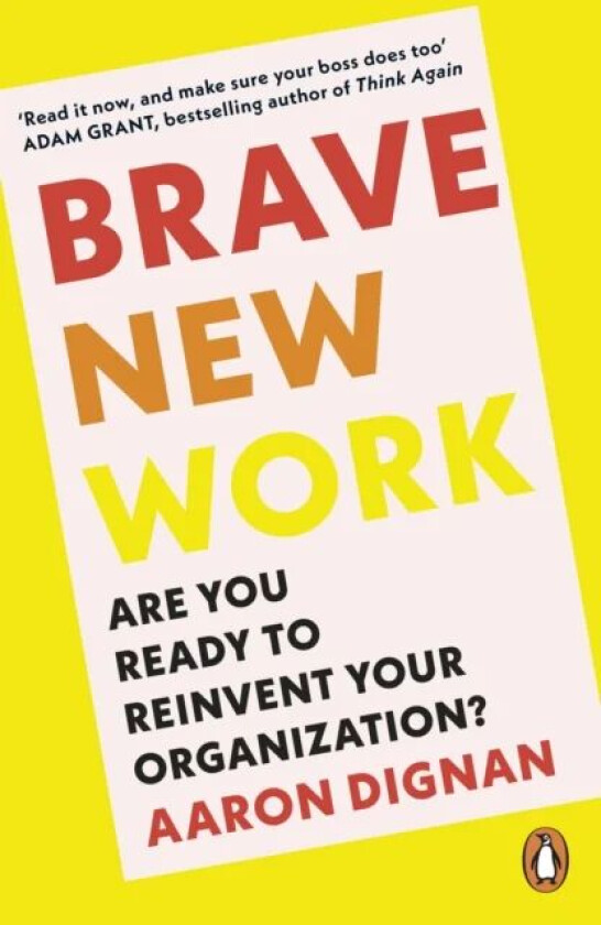 Brave New Work av Aaron Dignan