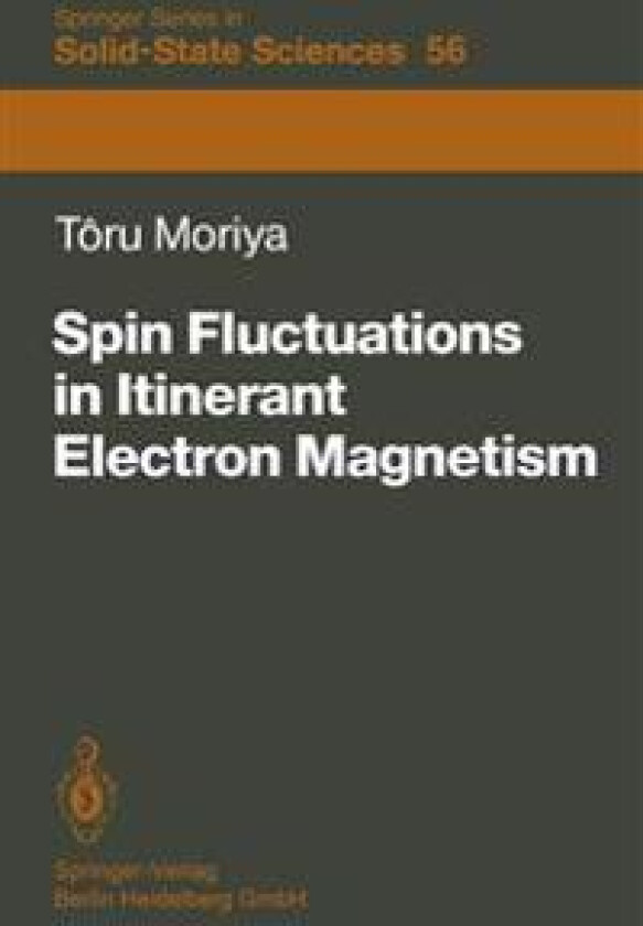Spin Fluctuations in Itinerant Electron Magnetism