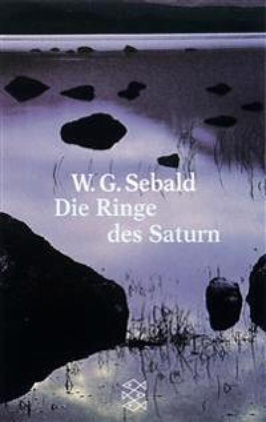 Die Ringe des Saturn