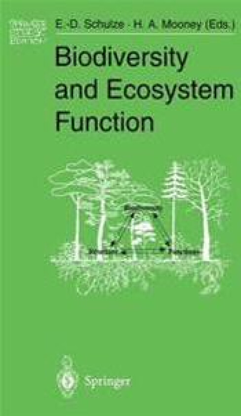 Biodiversity and Ecosystem Function