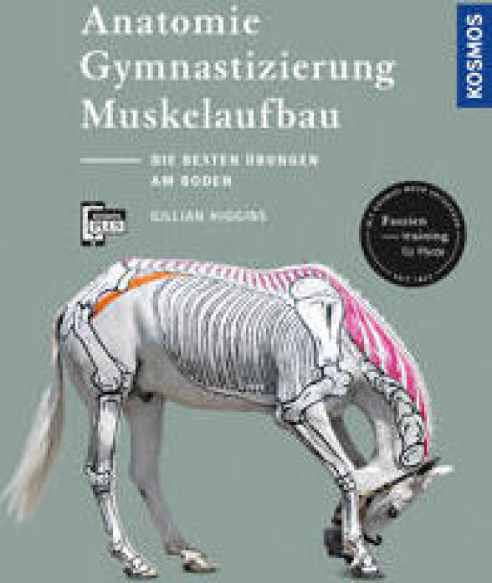 Anatomie, Gymnastizierung, Muskelaufbau