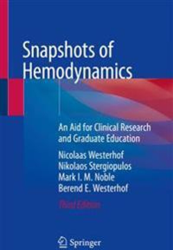 Snapshots of Hemodynamics