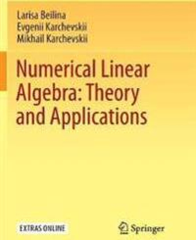 Numerical Linear Algebra: Theory and Applications