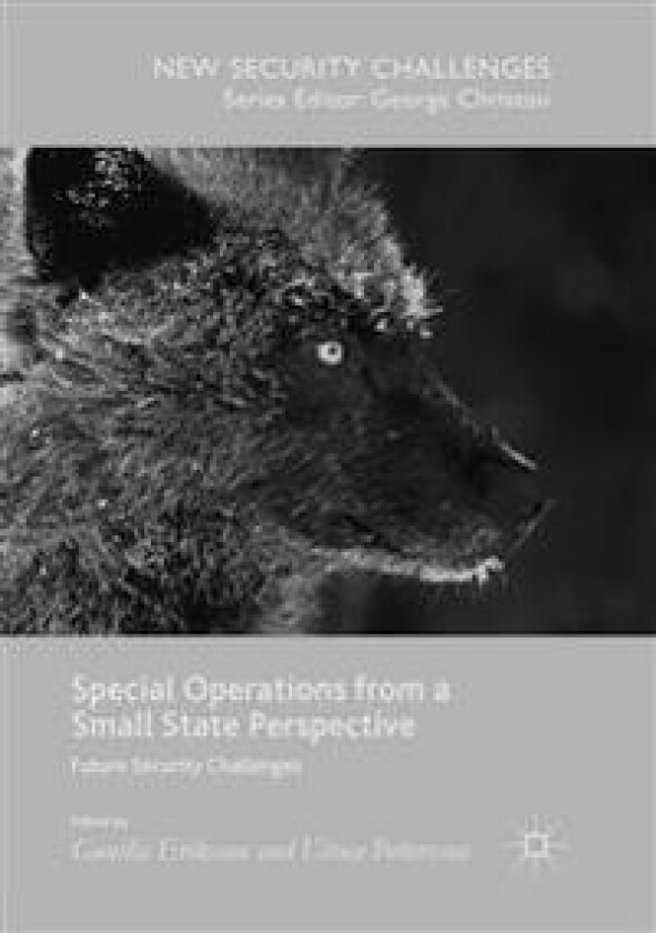 Special Operations from a Small State Perspective