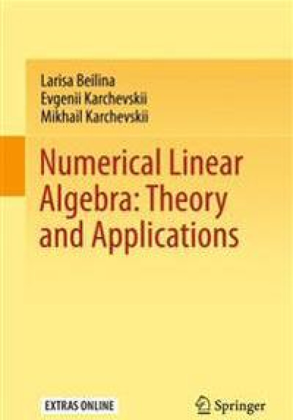 Numerical Linear Algebra: Theory and Applications