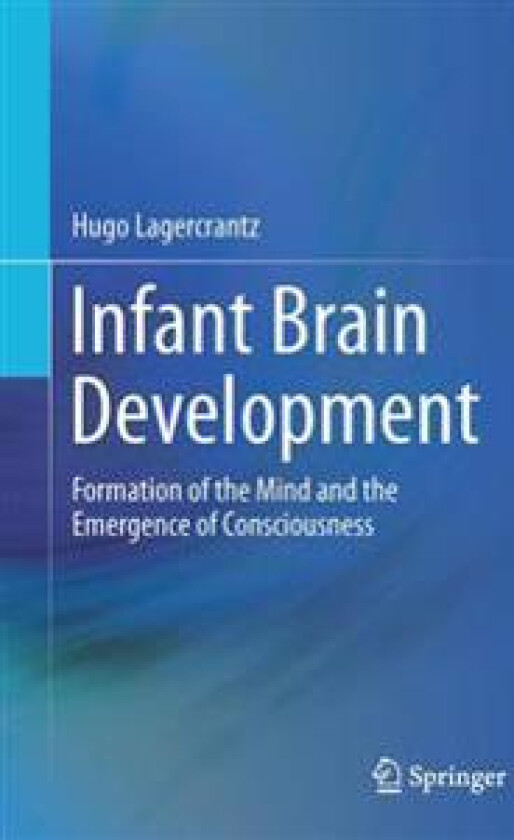 Infant Brain Development