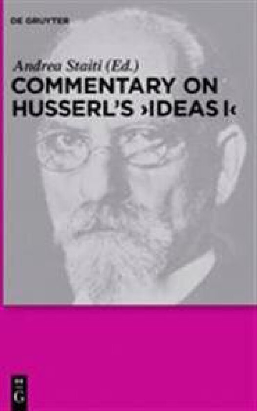 Commentary on Husserl's 'Ideas I'