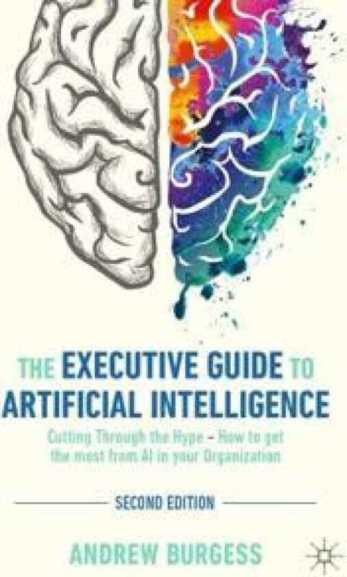 The Executive Guide to Artificial Intelligence