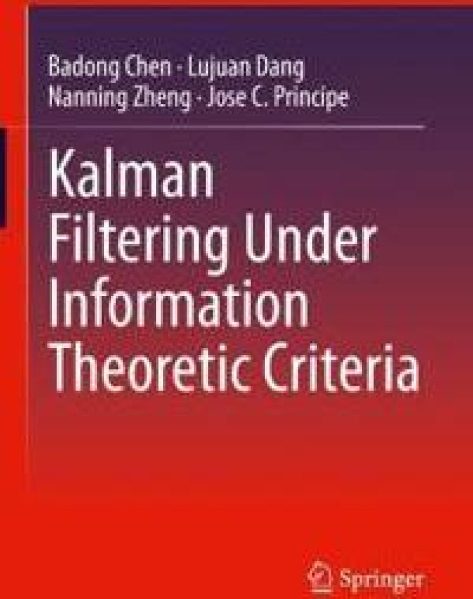 Kalman Filtering Under Information Theoretic Criteria