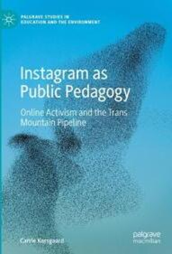 Instagram as Public Pedagogy