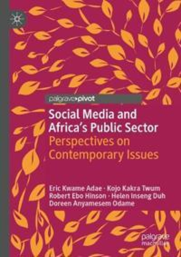 Social Media and Africa's Public Sector