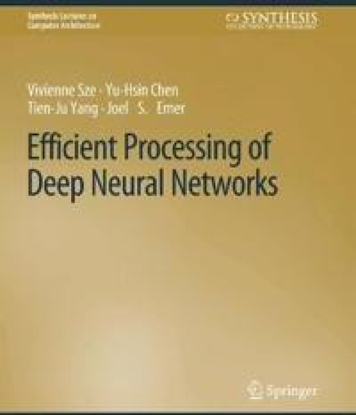 Efficient Processing of Deep Neural Networks