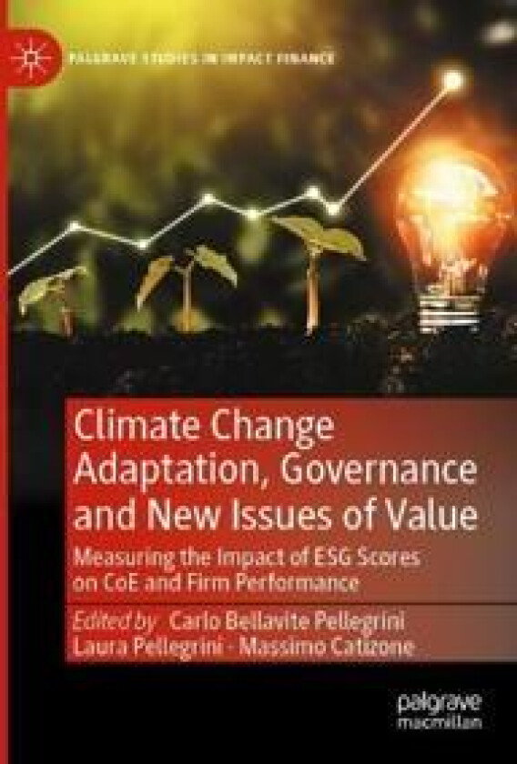 Climate Change Adaptation, Governance and New Issues of Value