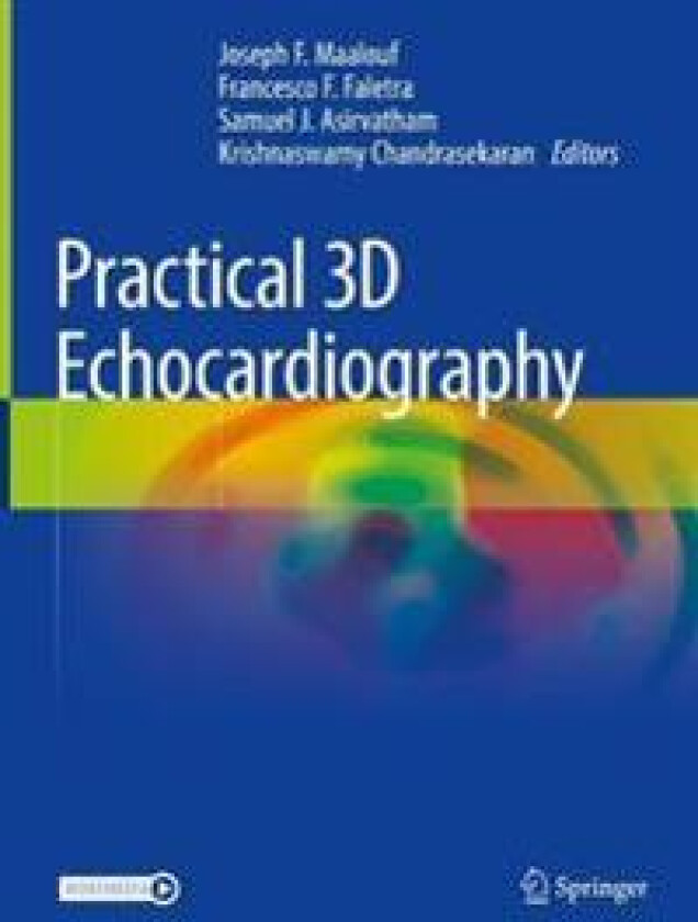 Practical 3D Echocardiography